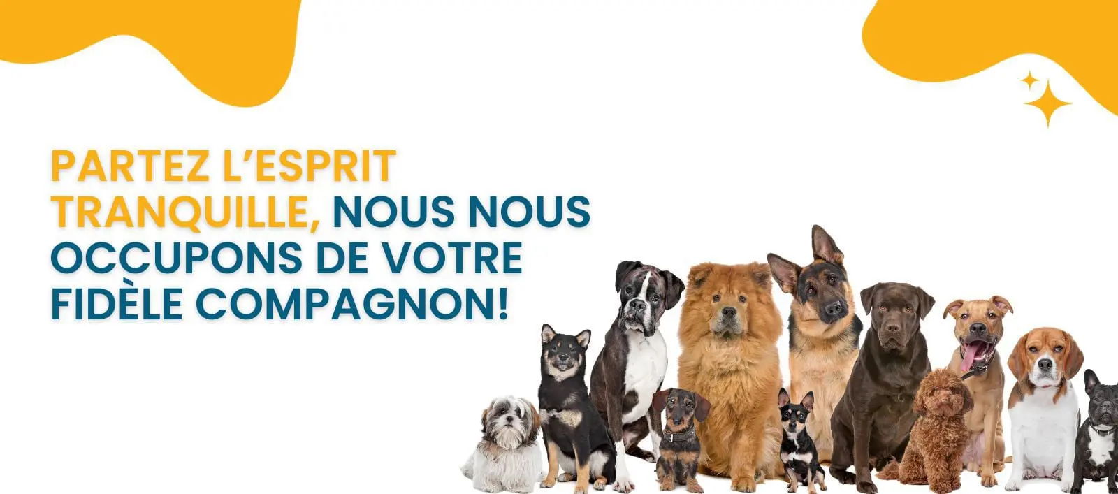 pension pour chiens rabat